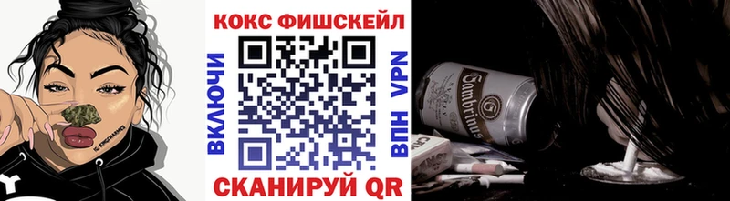Кокаин FishScale  блэк спрут как зайти  Нижнекамск 