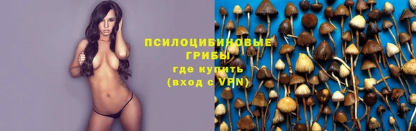 тгк Навашино