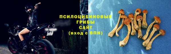 тгк Навашино