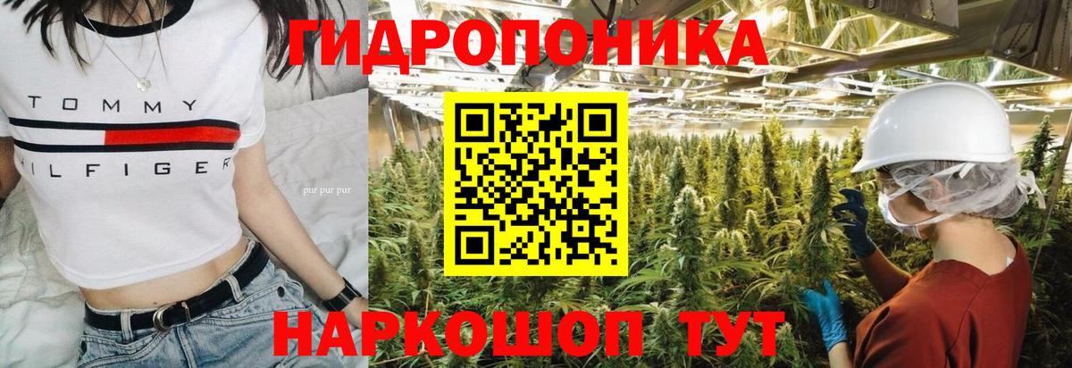 Бошки марихуана Bruce Banner Нижнекамск